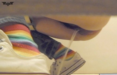 Hidden Wonders Spycam Toilet