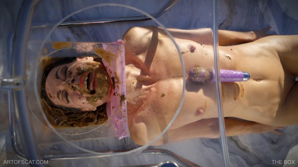 The Box for defecation on the face.