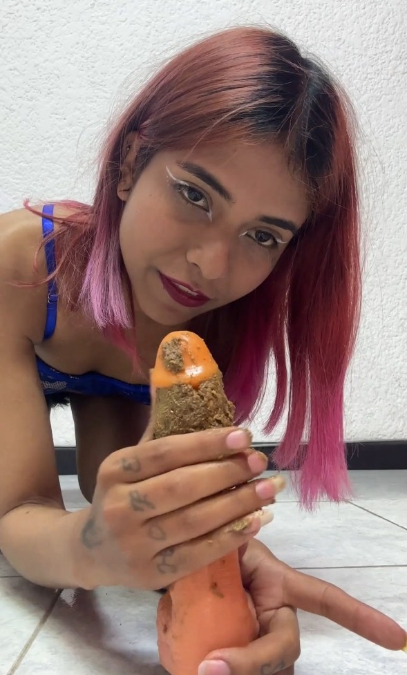 Sirena Rozhevy – Public Bathroom, Scat Blow job.