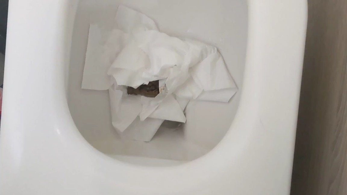 PooGirlSofia – EXTREME CLOSE UPS of my Turds