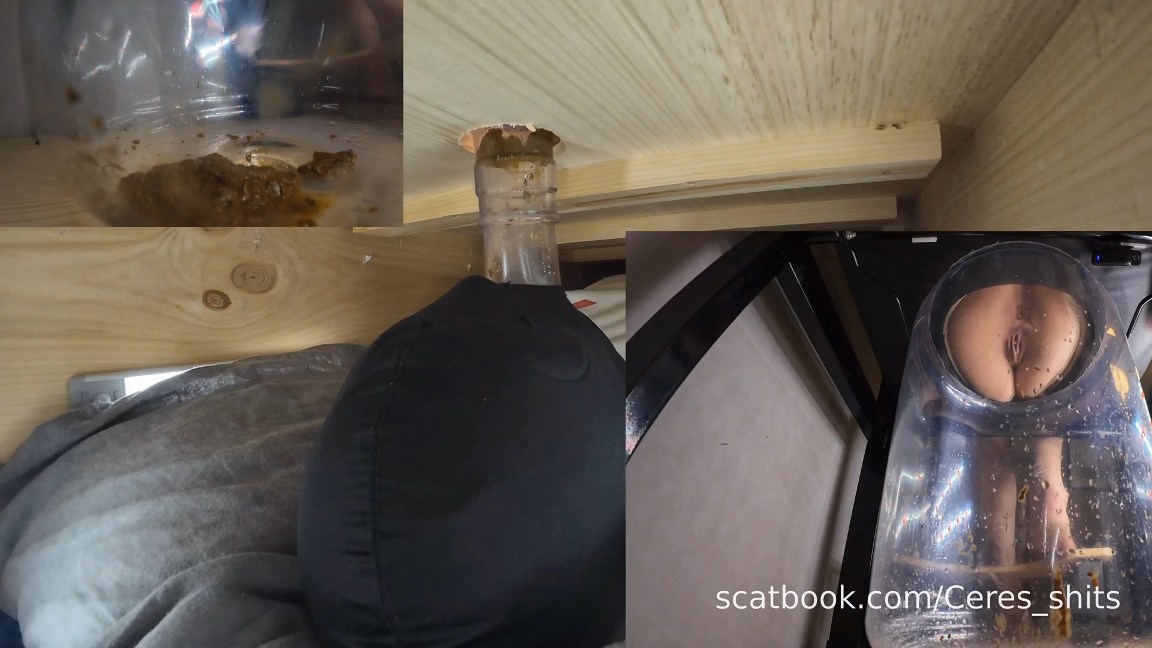 The Ultimate Human Toilet Setup Configuration 2