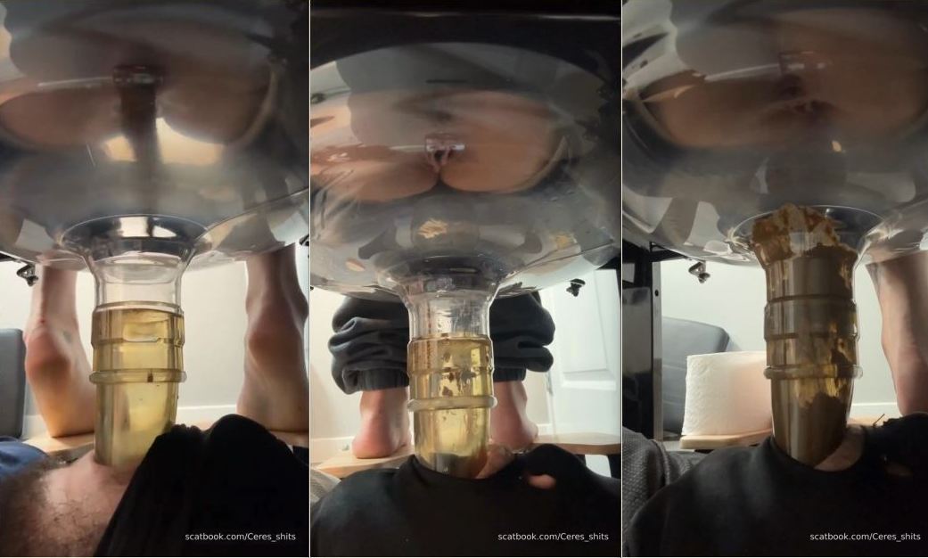 Daily Toilet Torture