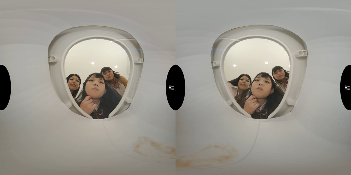 MRVR-005 Enjoying Masochistic Men as Human Toilets Part-3