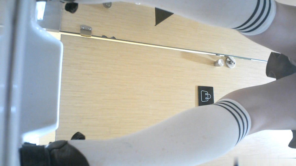Real Toilet Spy – Thick Ass Asian Girls Peeing and Spreading Legs