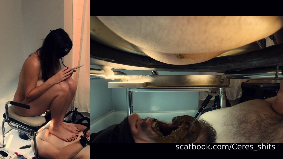 Ceres_shits Human Toilet Chair Domination