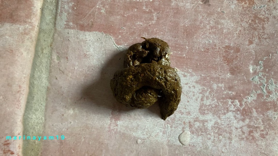 Marinayam19 Shits on the Floor After Cutting Her Toenails