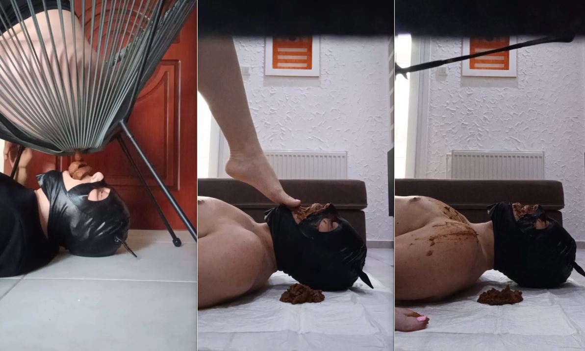 DommeAndreea – Hooded Toilet Eats Fresh Poo Under Her Seat